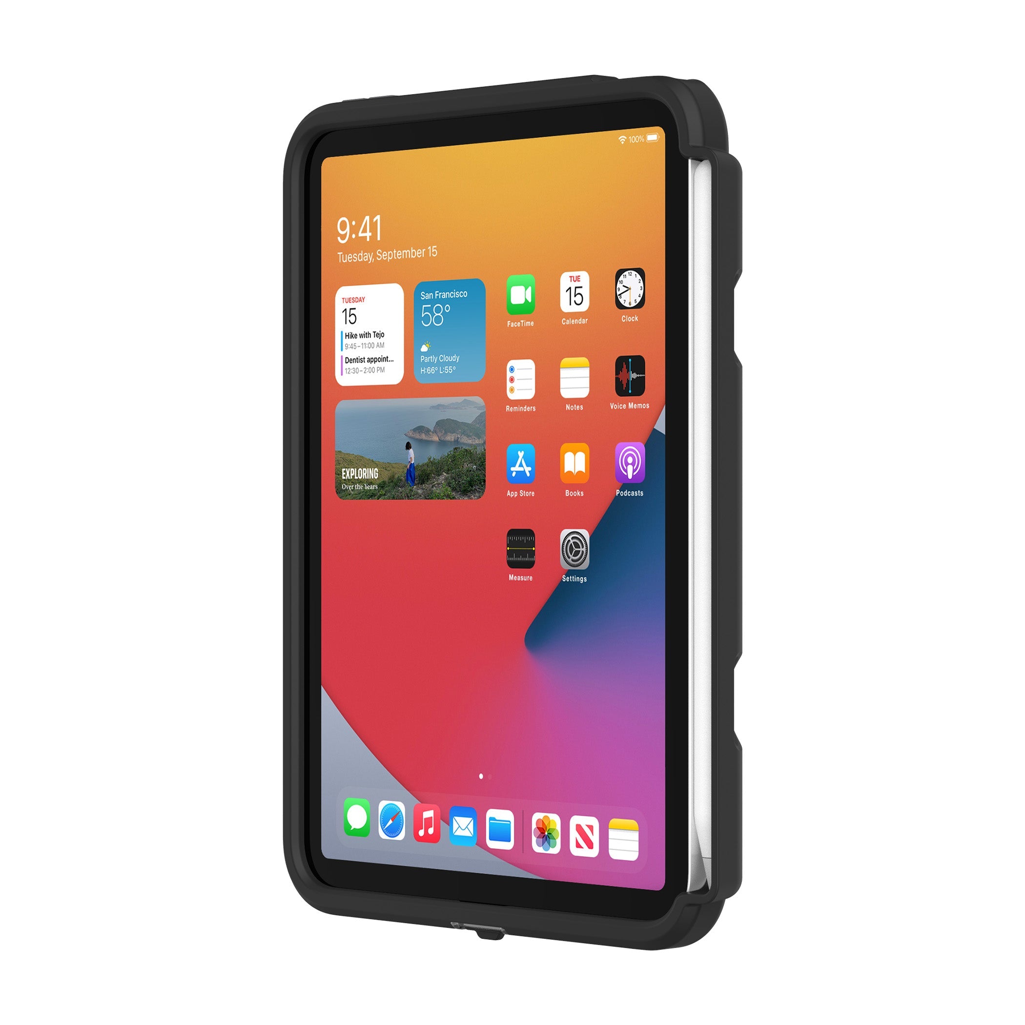 Black | Survivor Endurance for iPad mini 6th Generation - Black